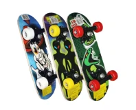 Mini Skateboard 24 Inches