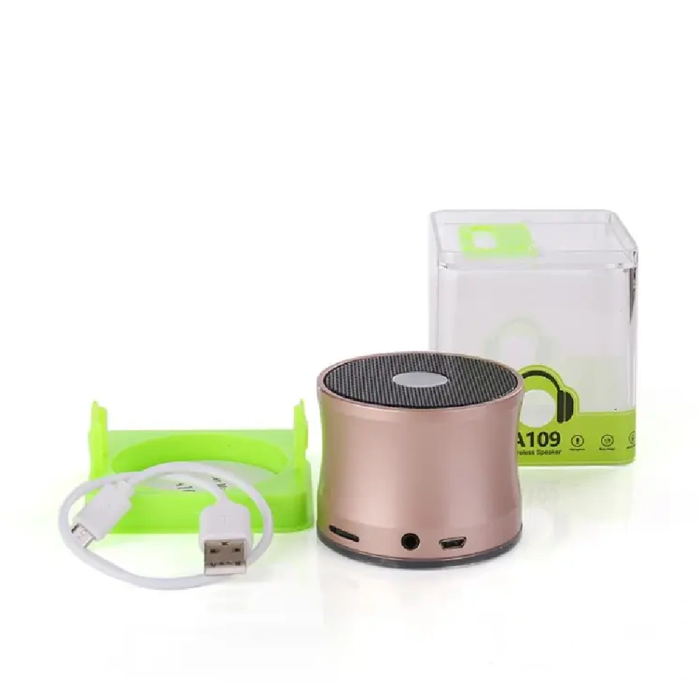 Ewa A109 Wireless Bluetooth Portable Speaker