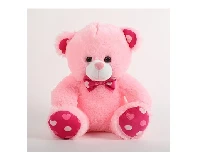 Soft Teddy Bear For Loved Ones