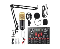 Bm800 Professional Microphone with V8 Sound Card