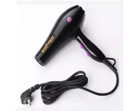 Borren Professional Hair Dryer BR-2031