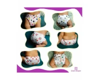 Desire Baby Printed Washable Cloth Diapers 4pcs