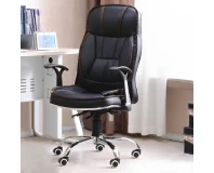 Revolving Executive Chair Adjustable Back Support