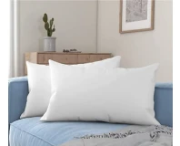 Luxurious Cotton Striped 2pcs Pillow Set