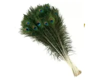 Mayurko Puwakh / Peacock Feather Set of 5 Pcs