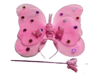 Butterfly Costume Set With Wand For Baby Girl