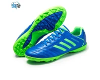Blue and Green Futsal Sport Shoes