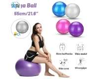 Exercise Gym Ball 55 Cm