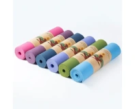 SKY TPE Thick Non-Slip Soft Yoga Mat 6 mm