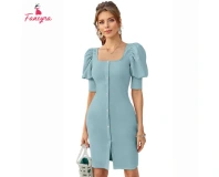 Fancyra Women Stretchable Light Blue Western Dress