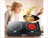 Electromax Double Burner Infrared and Induction