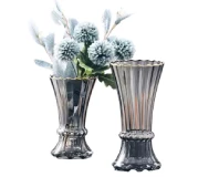 Hydroponic Flower Decorative Modern A20 Glass Vase