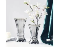Hydroponic Flower Decorative Modern A13 Glass Vase