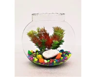 10 Inch Glass Pot Bowl Aquarium