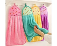 Creative Coral Velvet Thick Hand Towels 2 pcs
