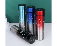 Stainless Steel Thermos Flask with Display 500 ml